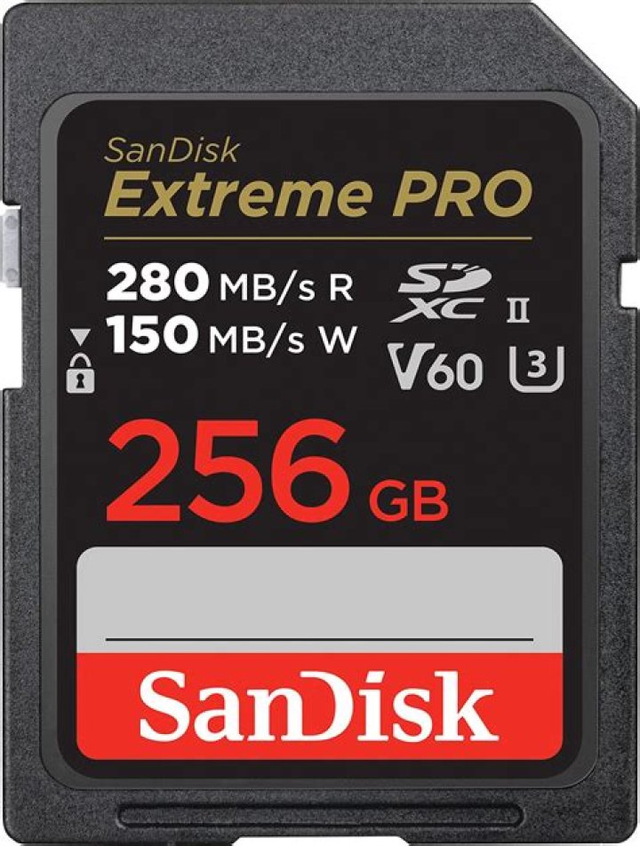 300MB Movies Hub: Your Ultimate Guide to Downloading Compact Films