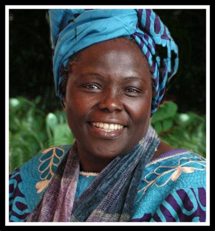 Donna Hester: A Deep Dive into the Life and Achievements of a Remarkable Individual