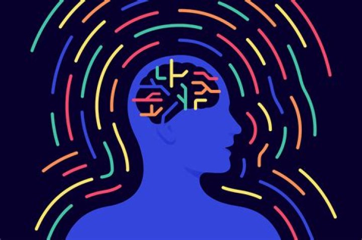 Exploring the Fascinating World of Jelly Beans: The Brain and Body Connection